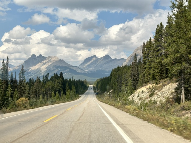 A mountain road stretching toward distant peaks through evergreen forest